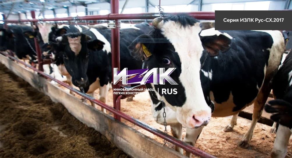 Основные виды коровников, эксплуатируемых животноводами Луховиц и региона